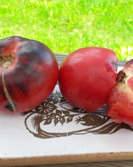 Pomidoras 'Sergeant Pepper's'